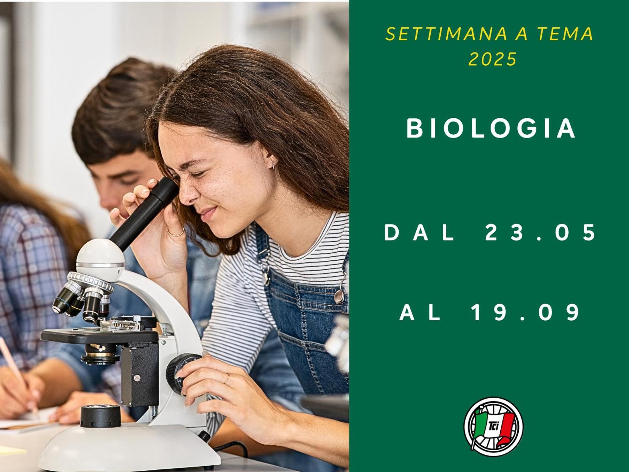 Touring Club Italiano - Isole Tremiti Hotel San Domino Luaran gambar